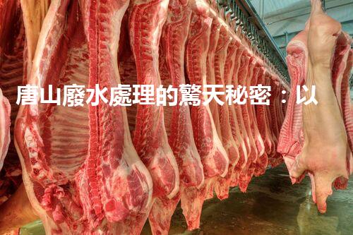 唐山廢水處理的驚天秘密：以后環(huán)保的希望！